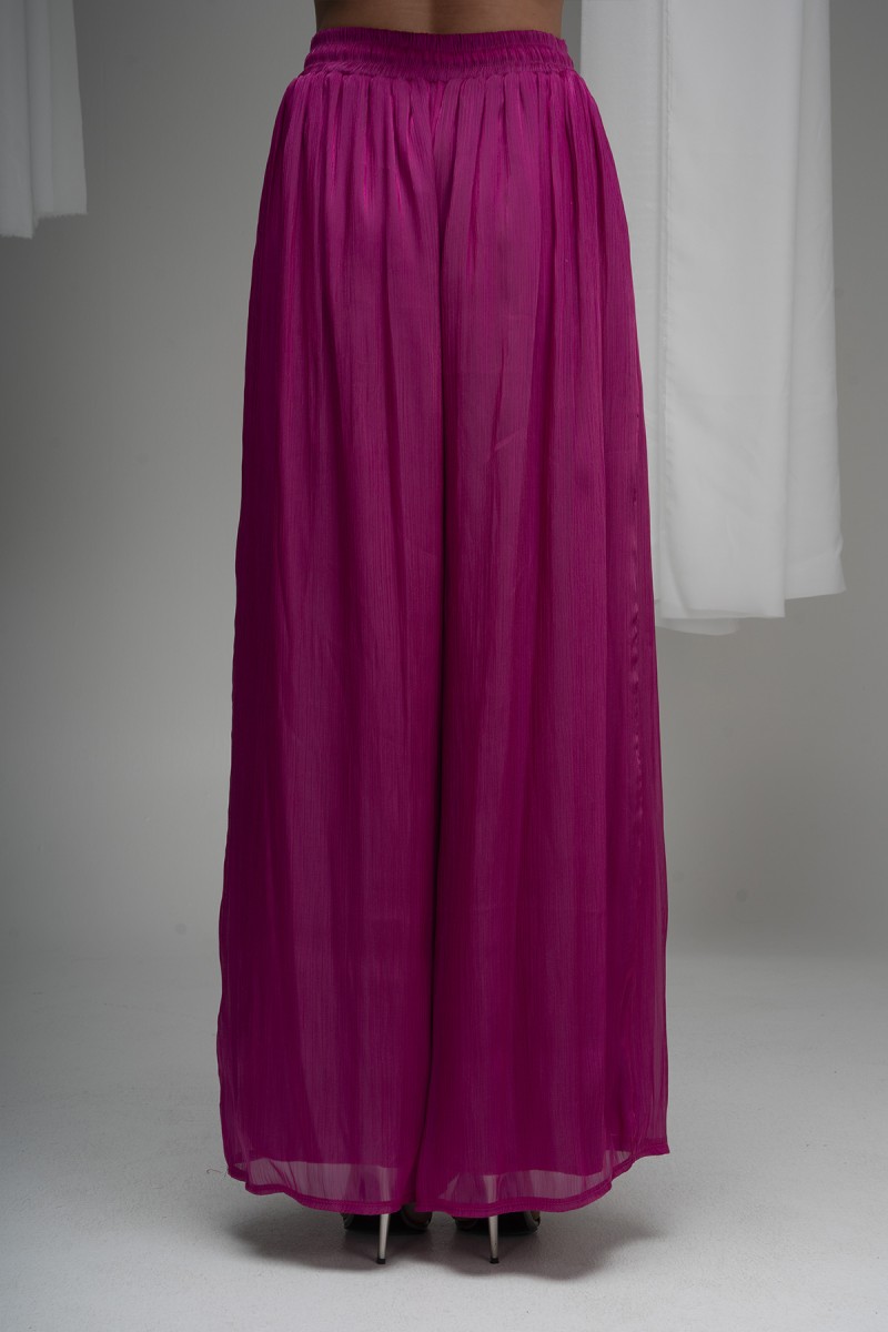 Drawstring Waist Organza Pants 