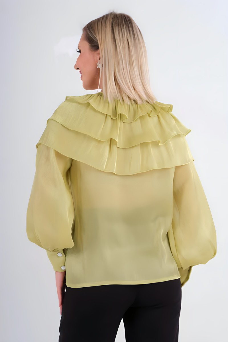 Frilly Front Organza Blouse Frilly Front Organza Blouse